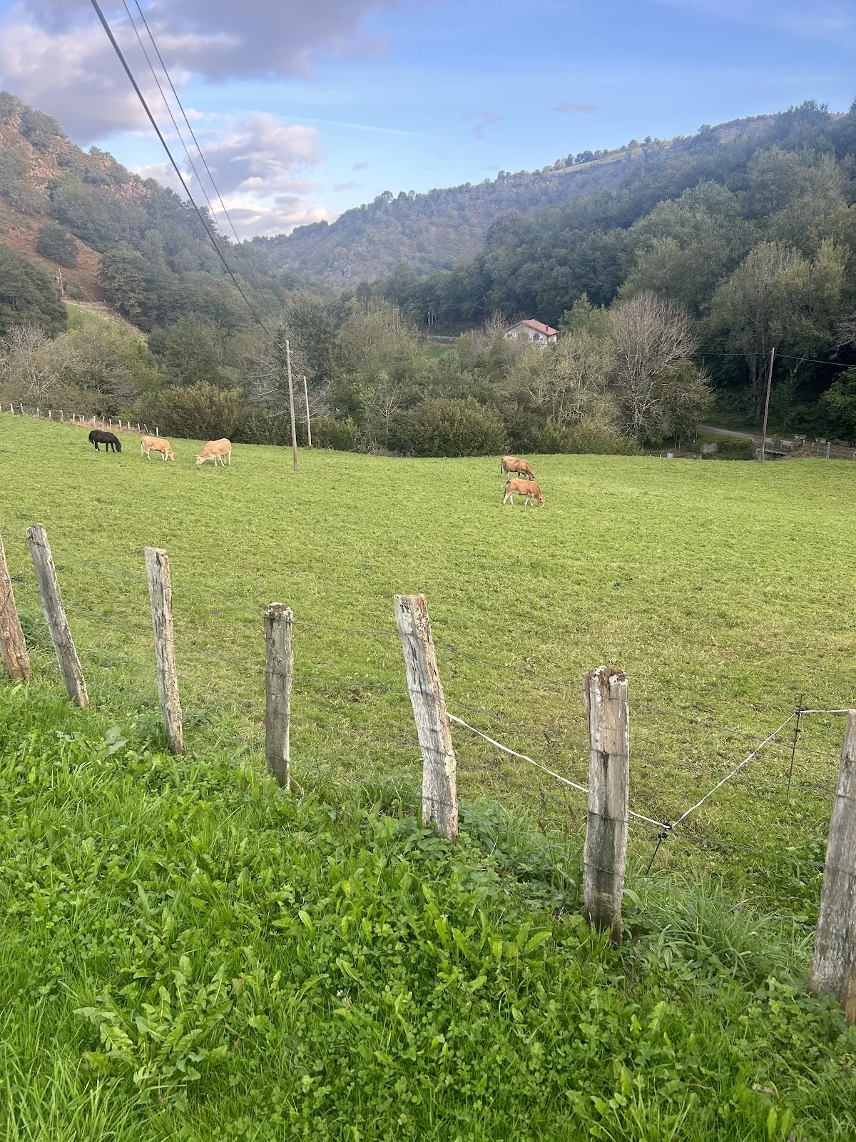 Casa rural MARTINTOLANEA photo 6