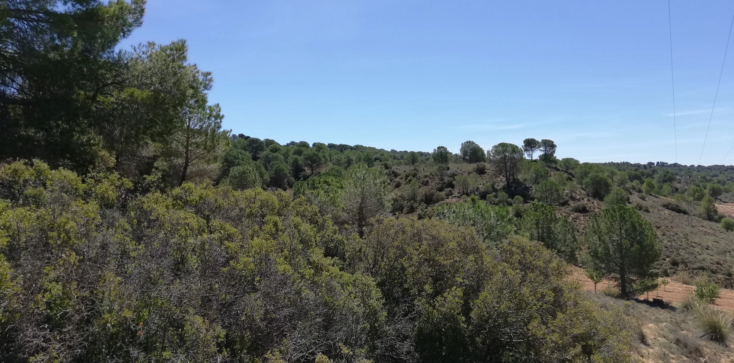 Casa Rural “Flor” photo 5