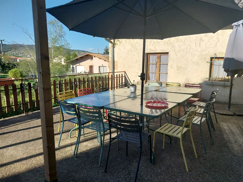 Les 5 pieds de vigne photo 2