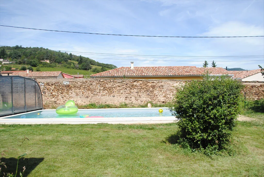 Les 5 pieds de vigne photo 4