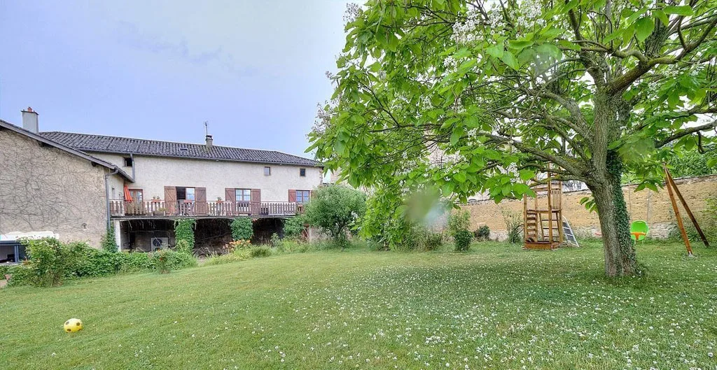 Les 5 pieds de vigne photo 5