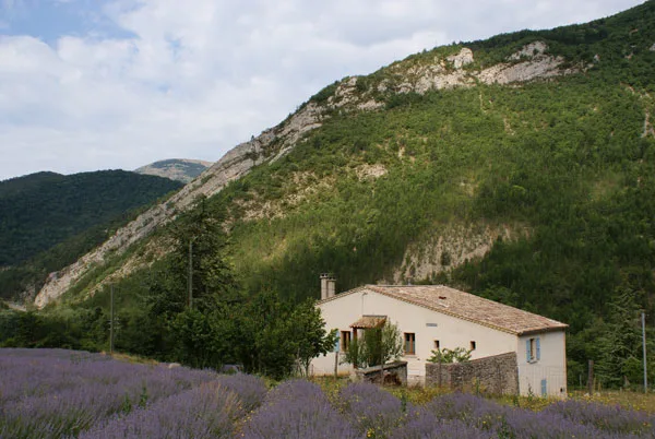 Gîte des Raux photo 2
