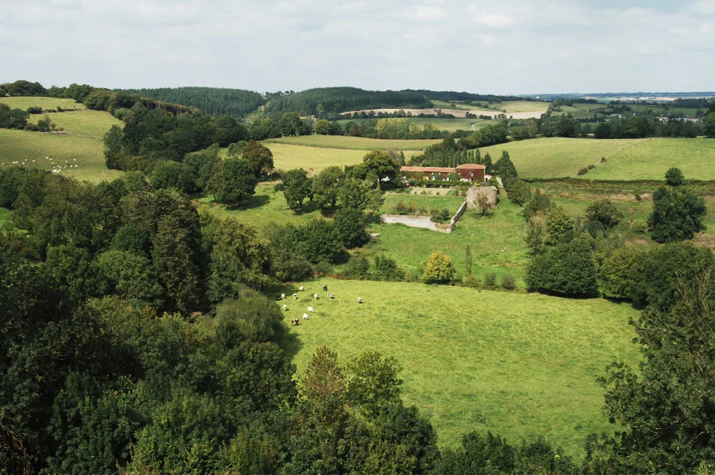 Le Logis du Château de la Flocellière photo 3