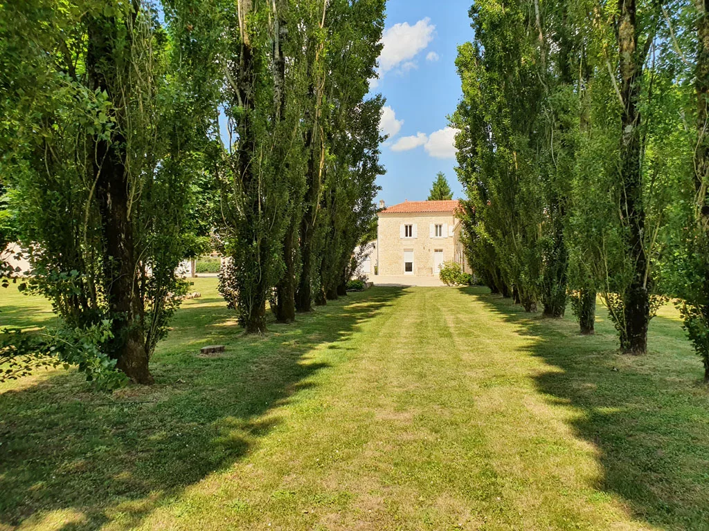 Le Grand Langonnais photo 3