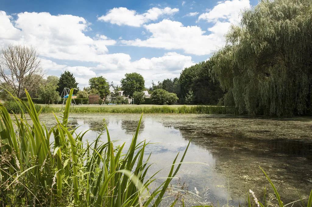 Ferme des Saules photo 5