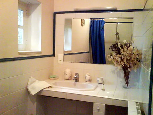 Location de house with pool à Thiel-sur-Acolin — photo 2