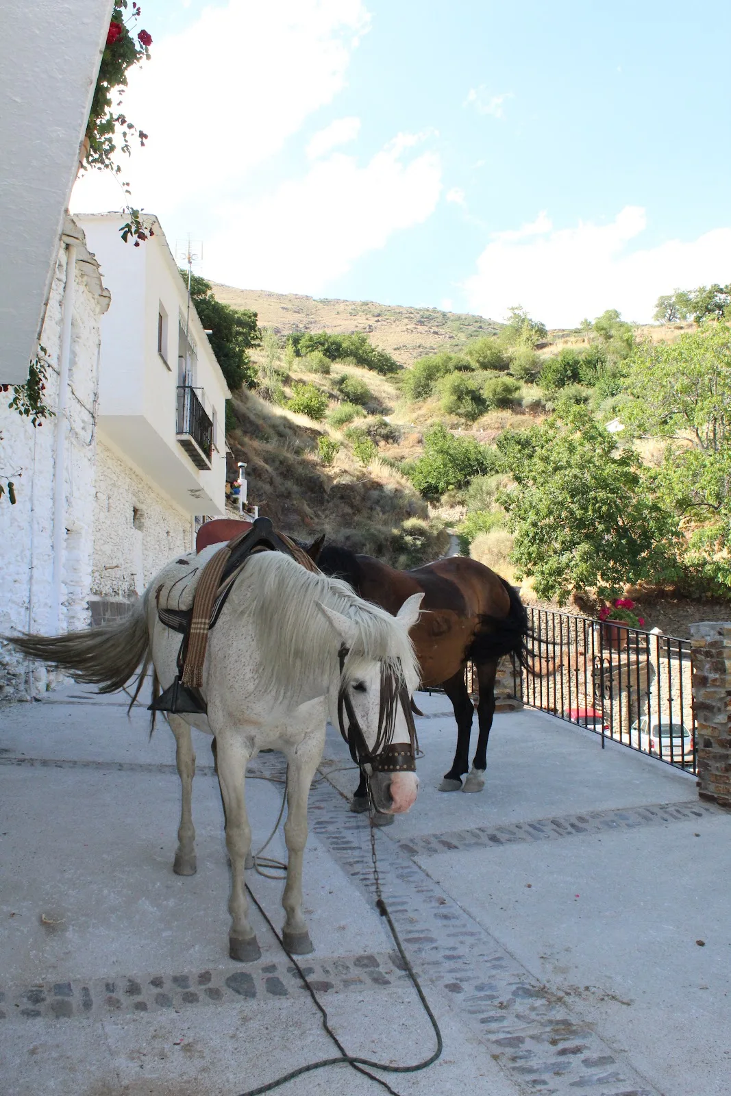 Casa Rural la Abuela Mercedes photo 5