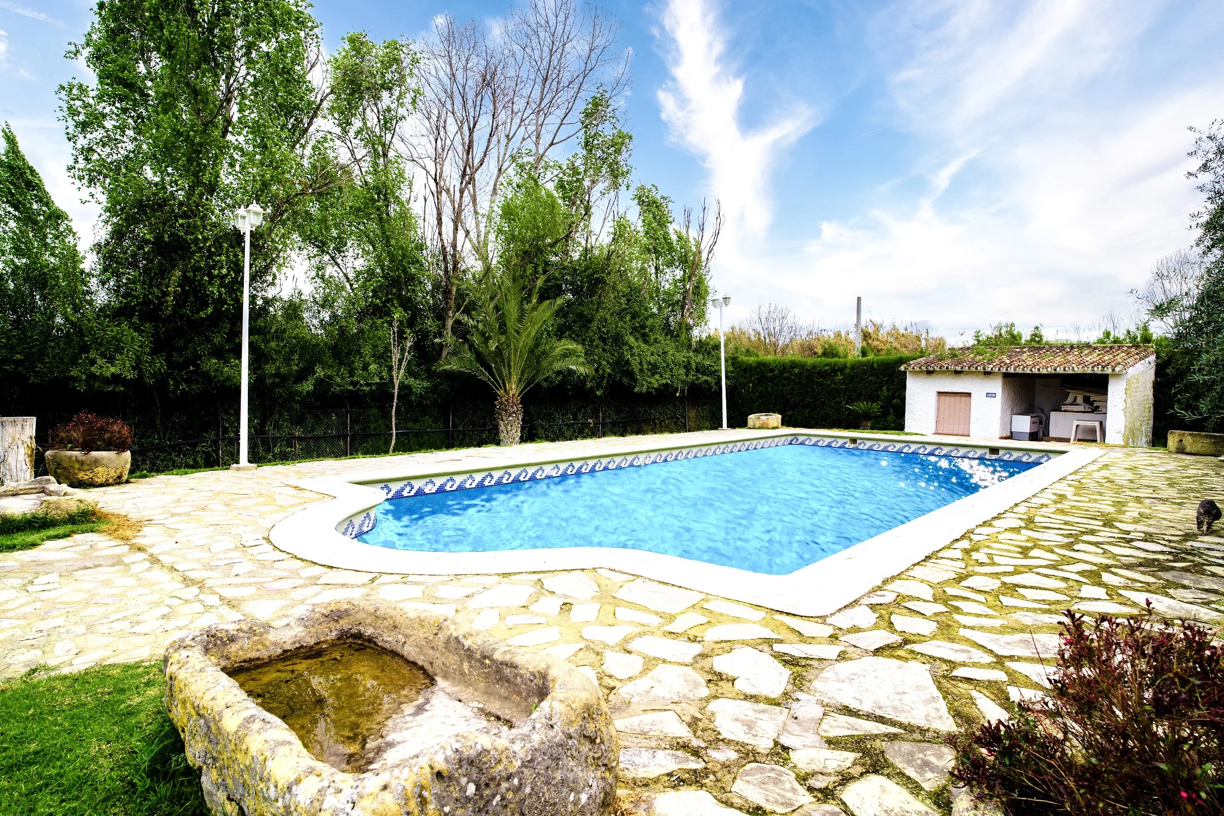 Casa de Campo "El Acebuche" (Alojamiento Rural Sierra de Cádiz) photo 3