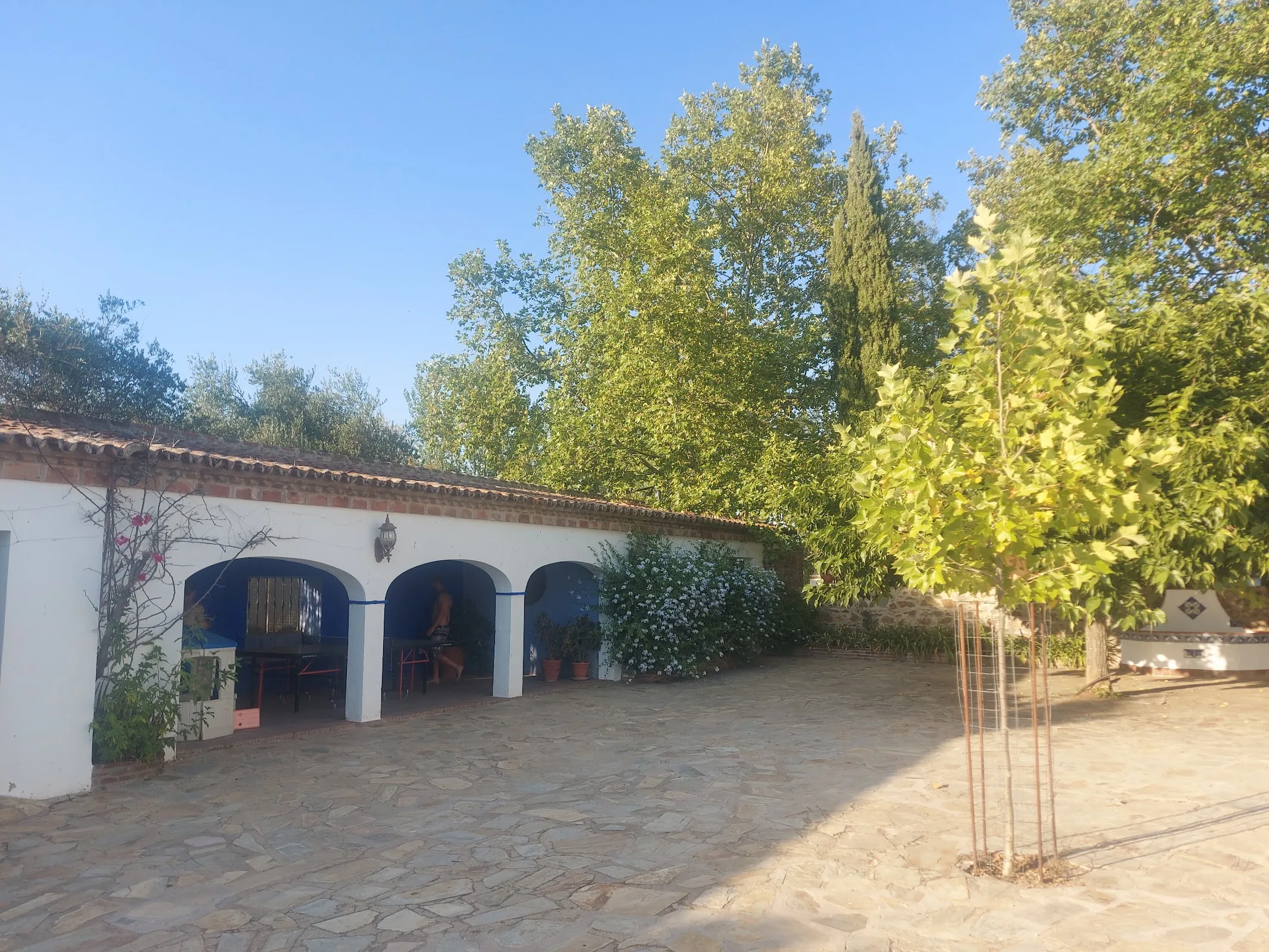 Casa Rural “Los Manantiales” photo 4