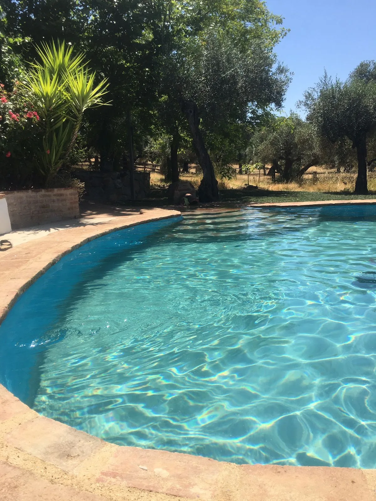 Casa rural Los Almendros photo 3