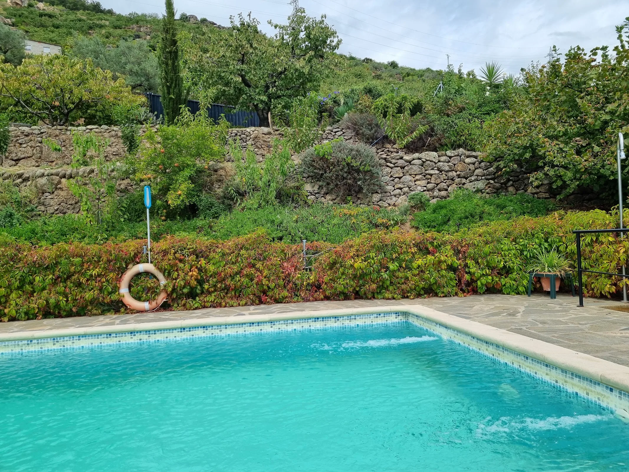 Casa Rural La Viña photo 3