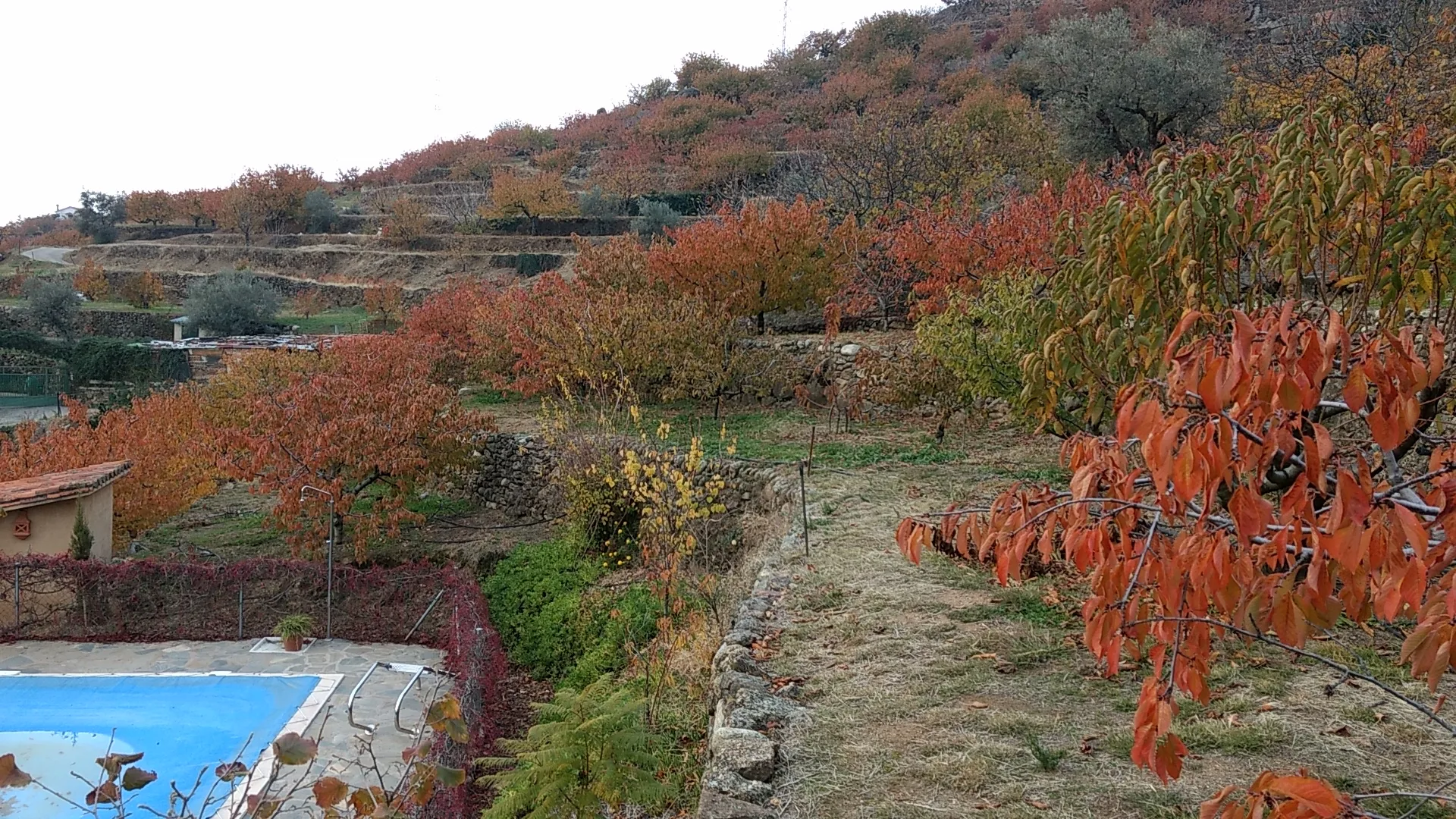 Casa Rural La Viña photo 6