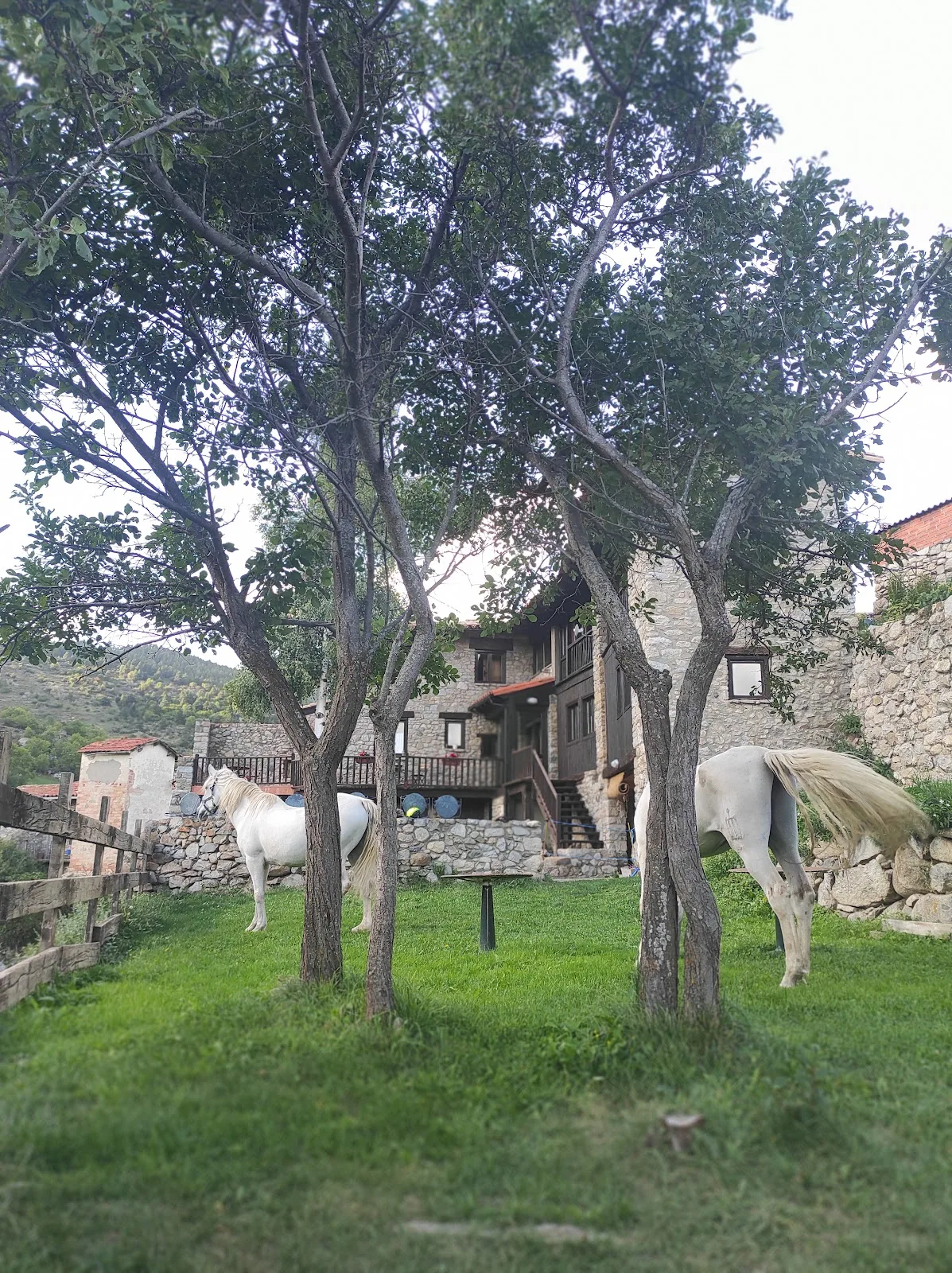Casa rural Molí del Salt (Cal Faló) photo 5