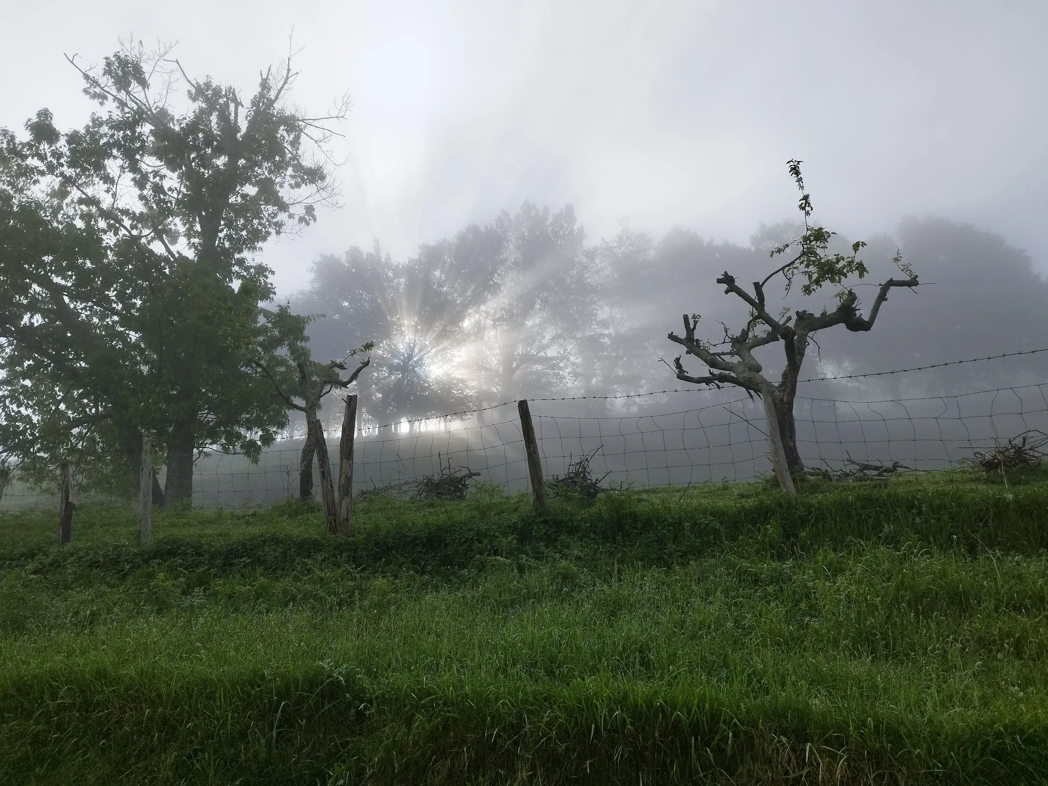 GAINKOBORDA Landa-apartamentua photo 2