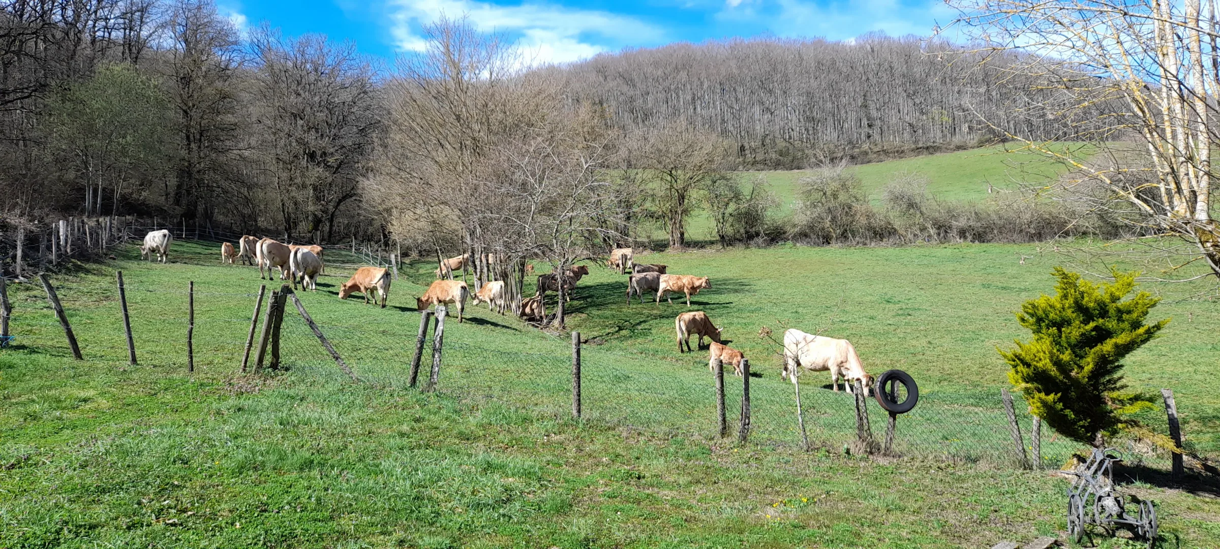 Casa Rural Idiara - Navarra photo 4