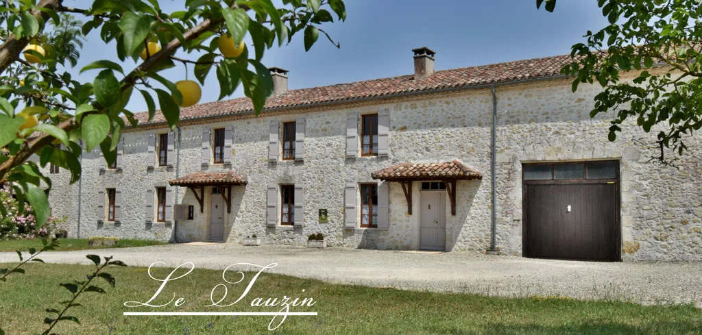 Le Tauzin photo 2