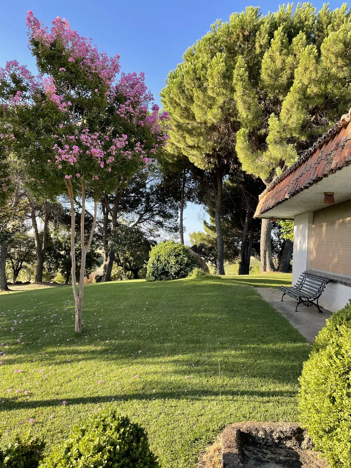 Casa Rural El Rivero photo 6