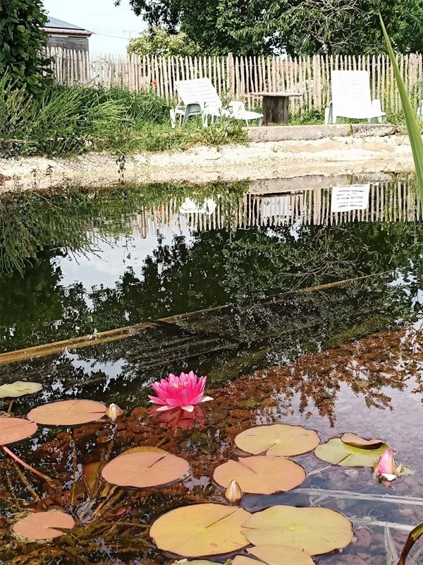 Gîte de la Roulière photo 4