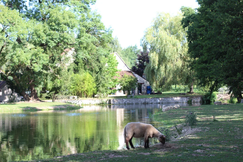 Moulin de Chareau photo 6