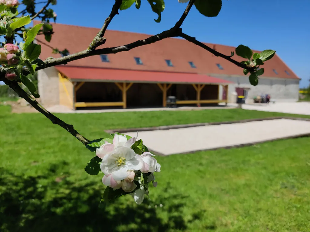 Domaine de Drouilly photo 2