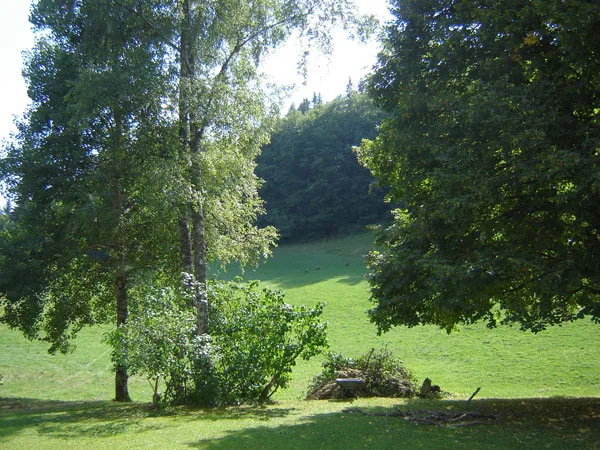 Gite Dumont photo 2