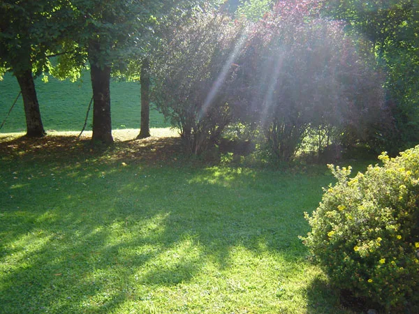 Gite Dumont photo 3