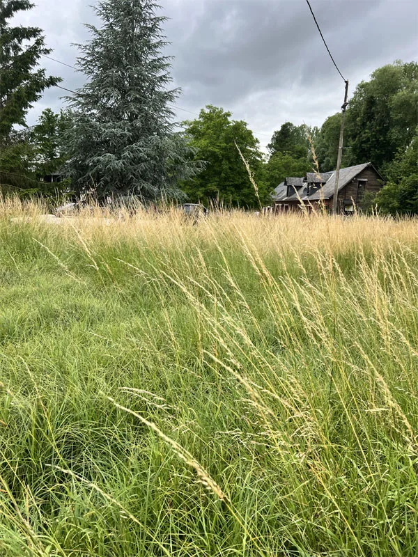 Le Gîte du Moulin photo 3
