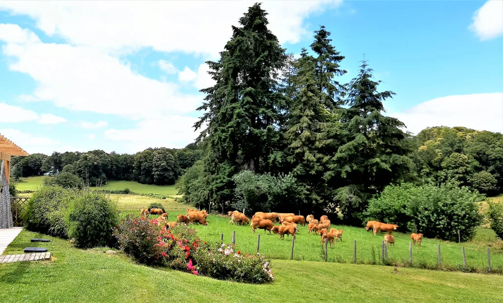 Le Green-Camp d'Octavie photo 5
