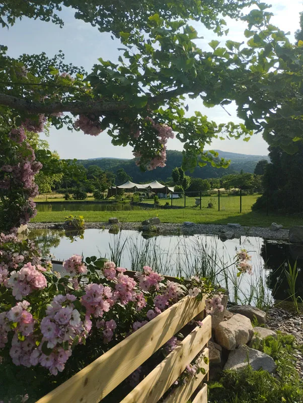 Château de Féligonde photo 2