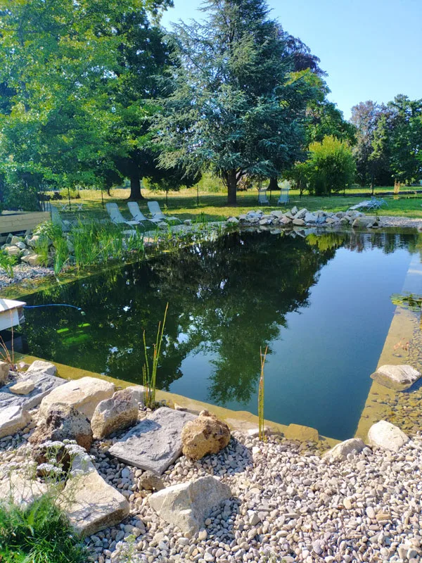 Château de Féligonde photo 6