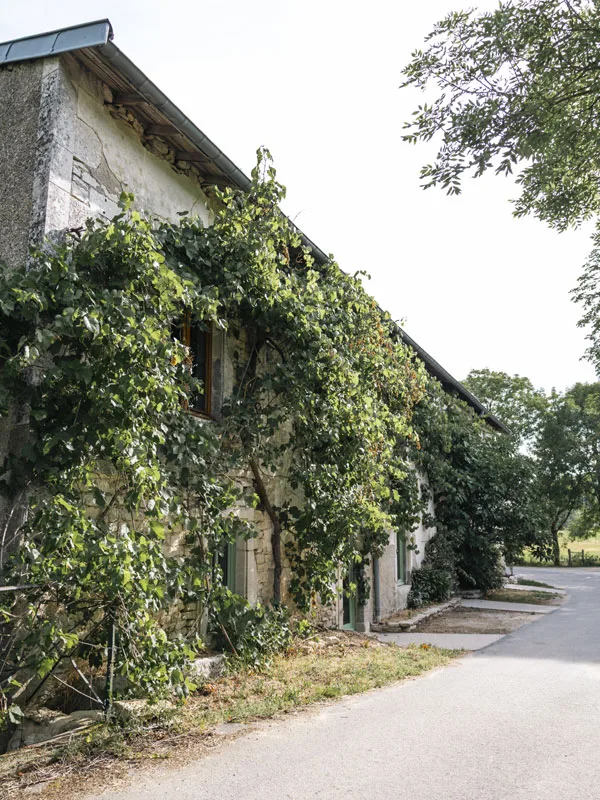 Domaine du Moulin Français photo 4