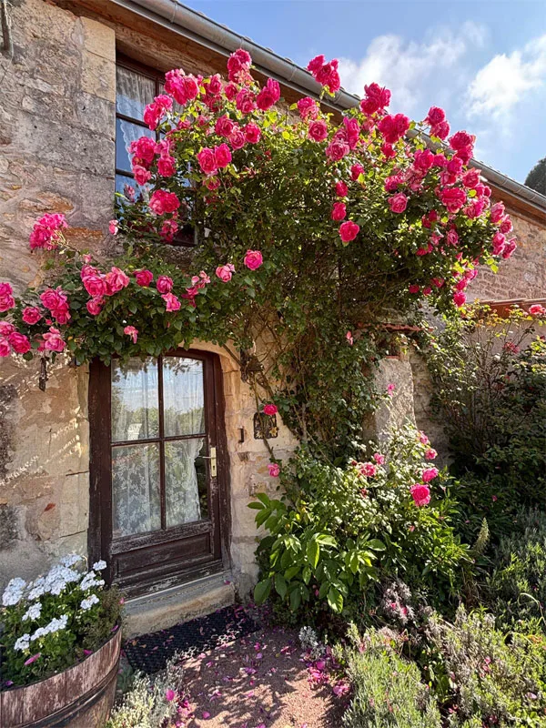 Domaine Les Roses du Vieux Chai photo 3