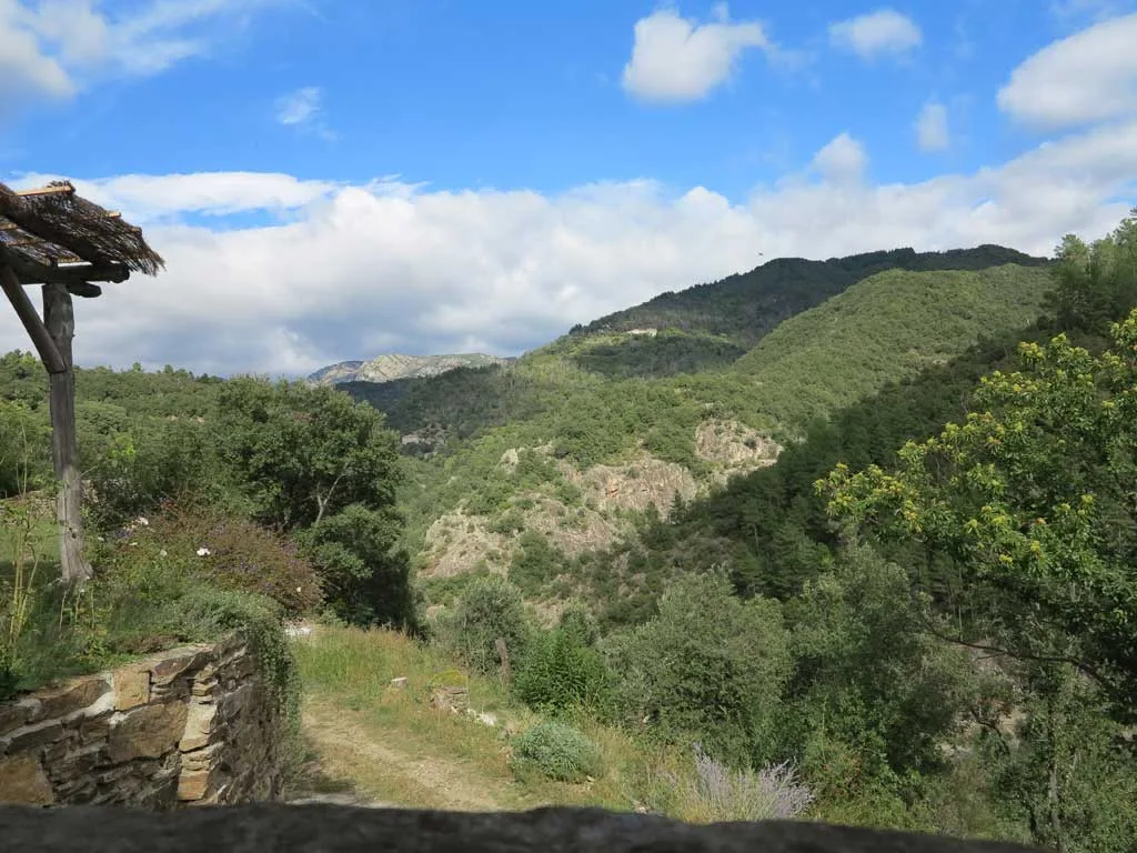 La Guaribote photo 5