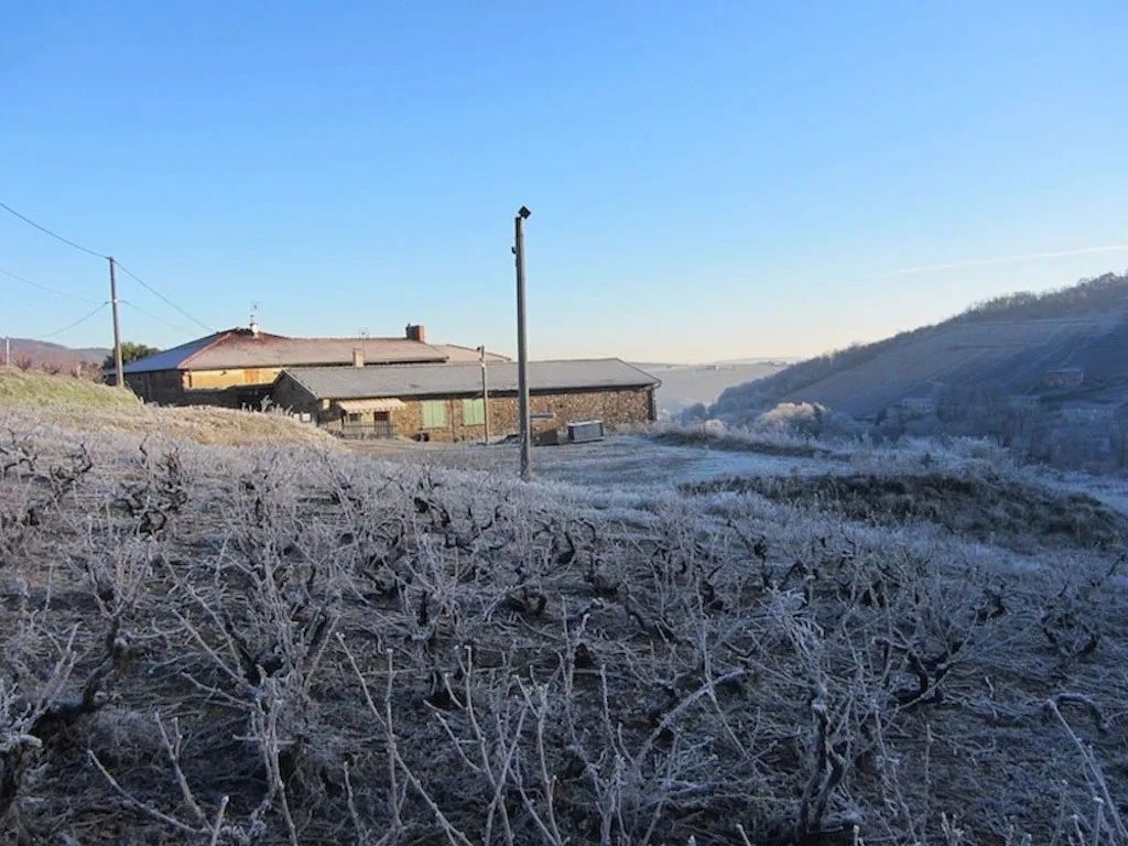 Le Nid Beaujolais photo 2