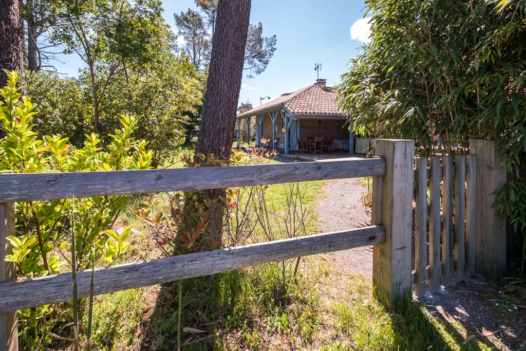 Surf Sport Lodge photo 3