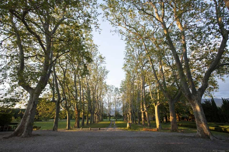 Château de Villeclare photo 2