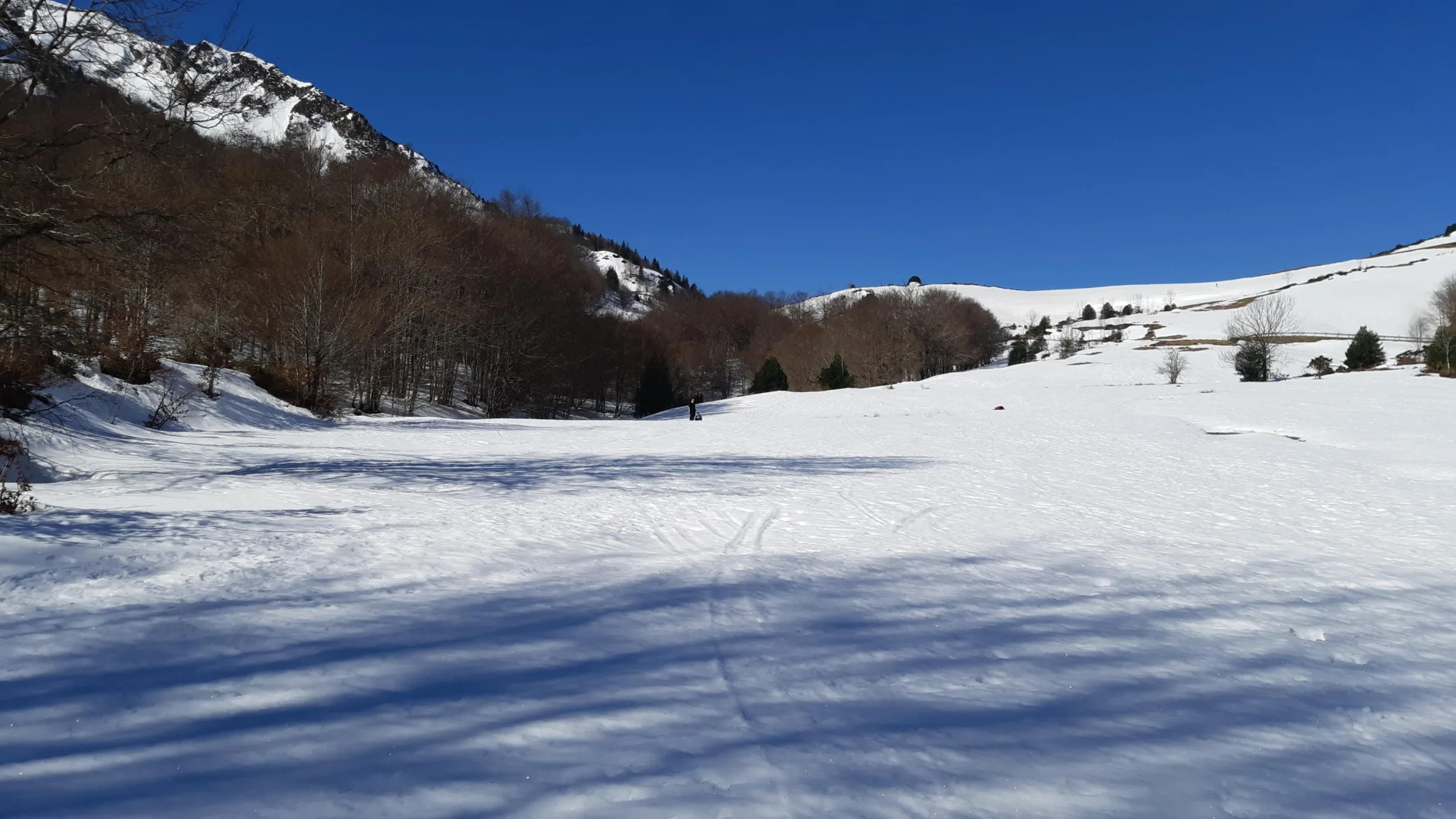 Gîte de Terre d'Avenir photo 4