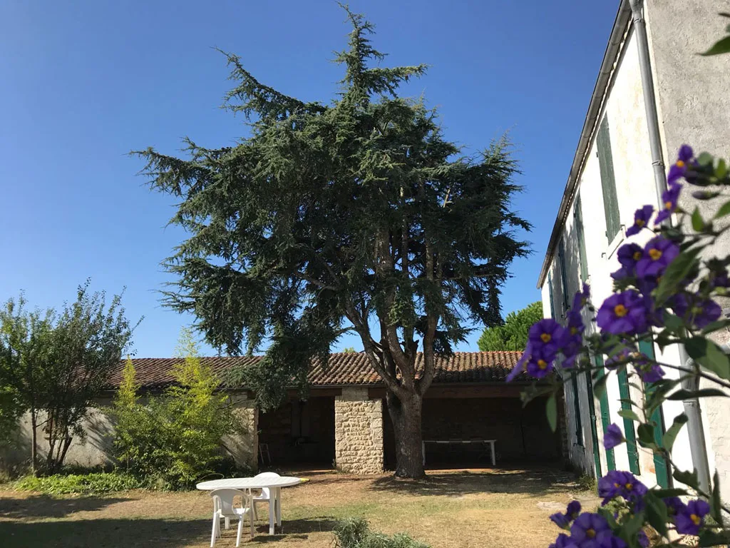 Location de casale à Saint-Georges d'Oléron — photo 3
