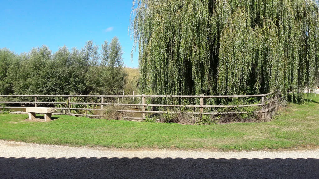Domaine de la Balmondière photo 2