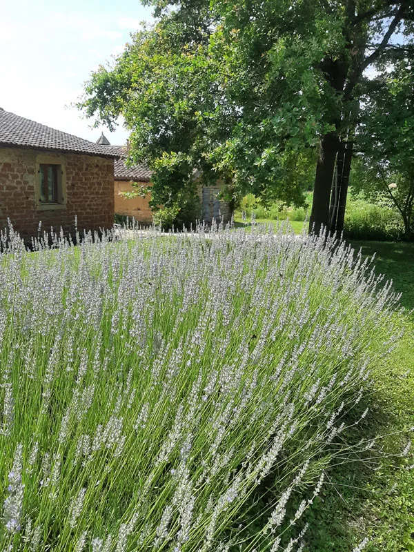 Domaine de la Balmondière photo 5