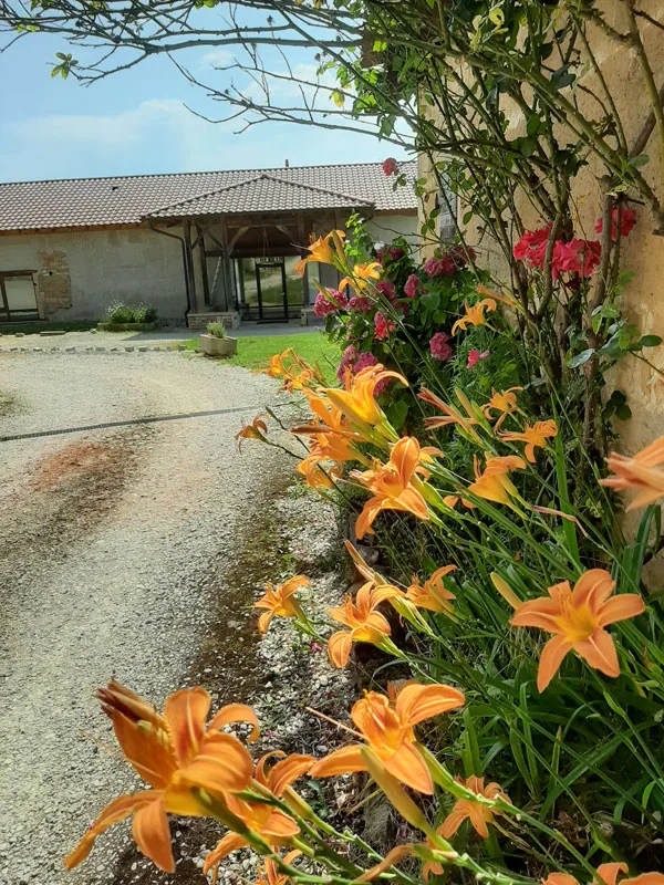 Domaine de la Balmondière photo 6