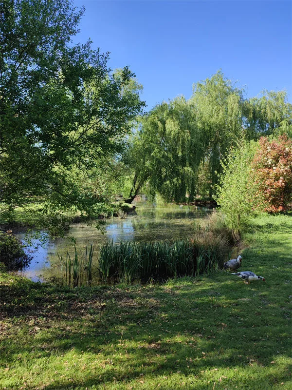 De couleurs et d'eau fraîche photo 3