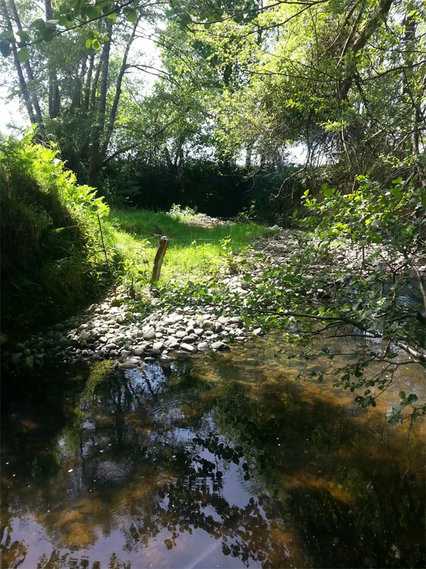 De couleurs et d'eau fraîche photo 4