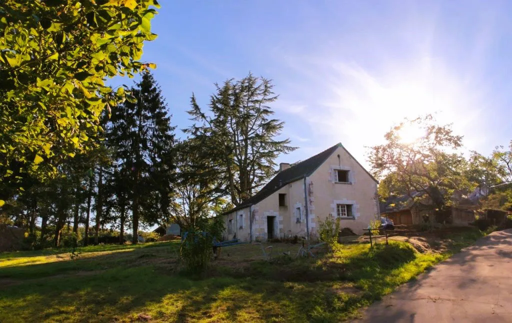 Gîte La Pause photo 3