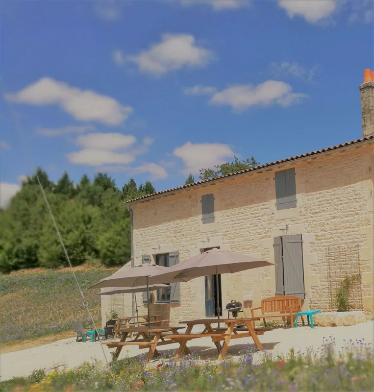 Les Cèdres Bleus - Dom. du Château des Loups photo 4