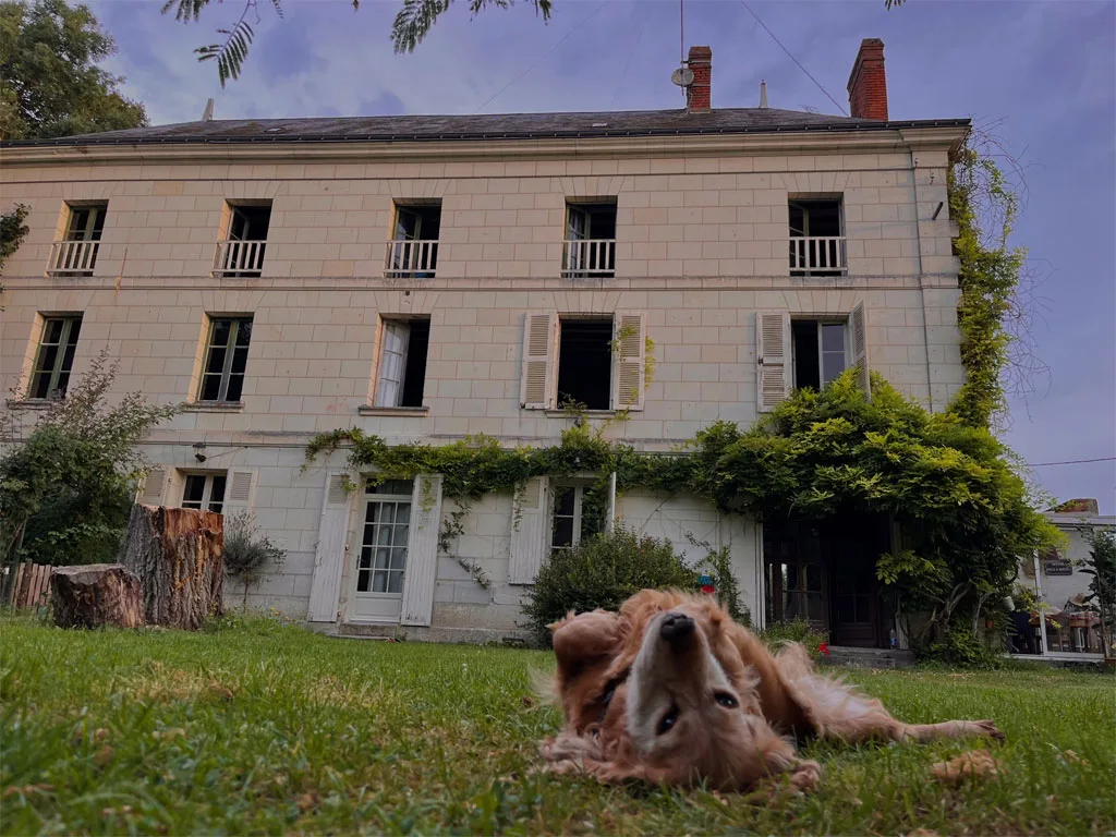 Le Moulin de Charreau photo 4