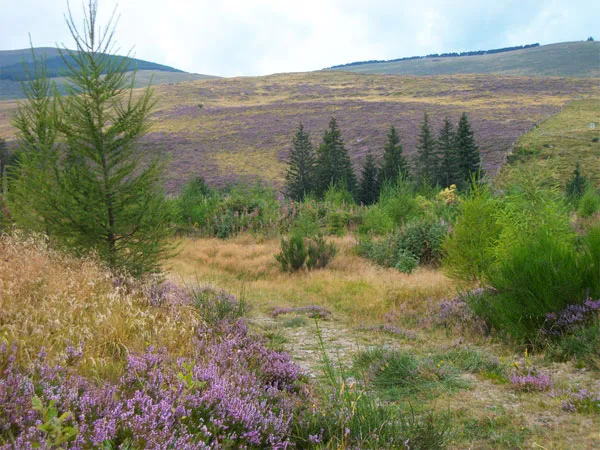 Bercail Montagne photo 4
