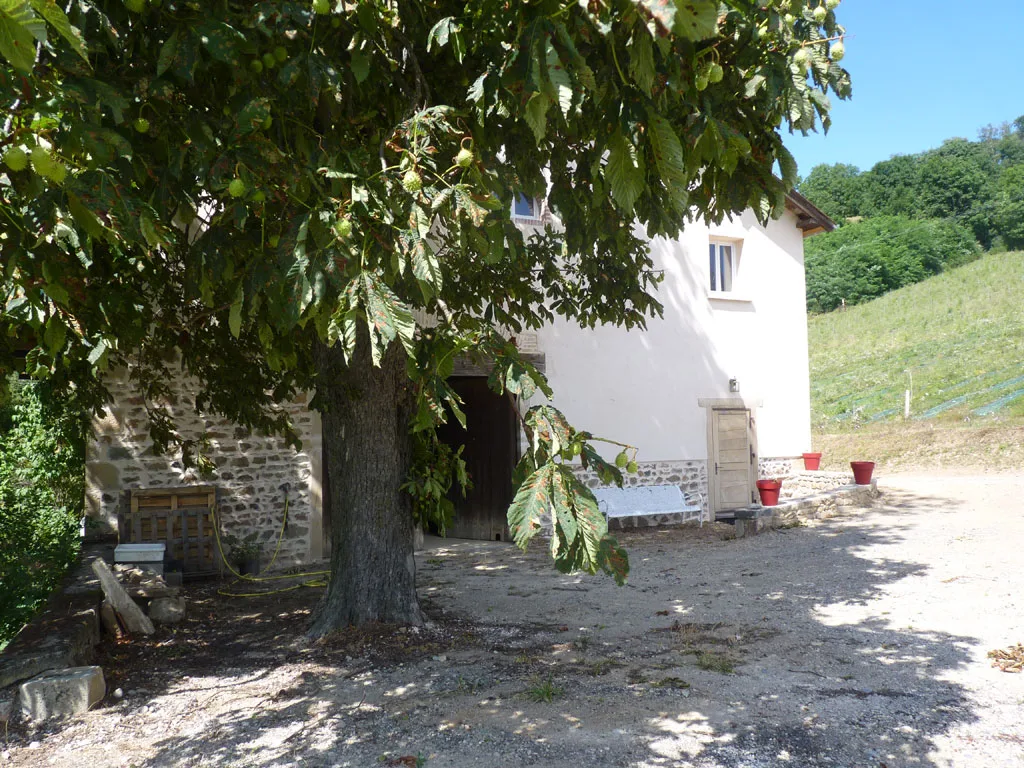 Location de casale à Beaujeu — photo 2