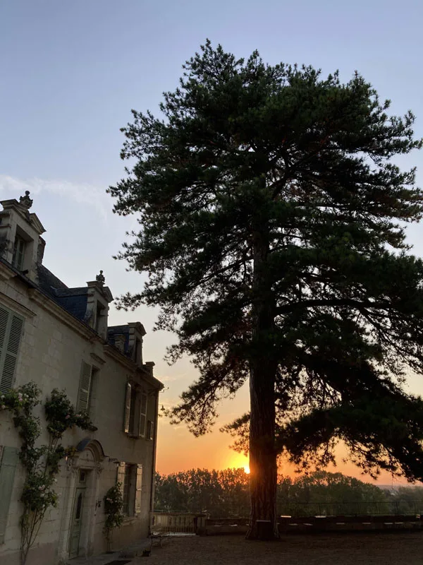 Château de la Boussinière photo 2