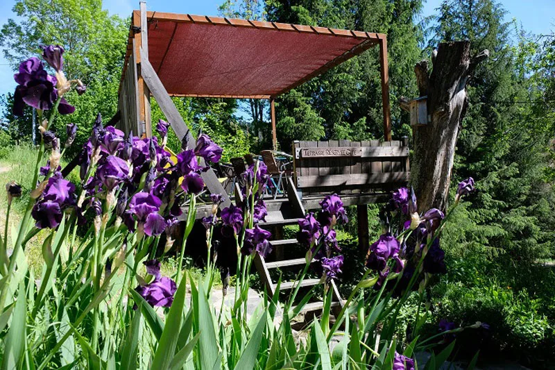 Le Paradoxe Perdu photo 2